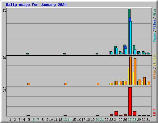 Daily usage for January 2024