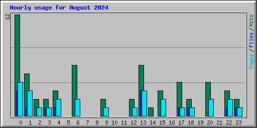 Hourly usage for August 2024