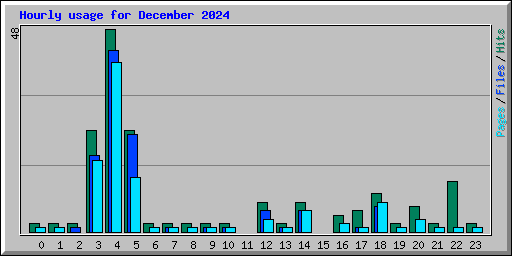 Hourly usage for December 2024