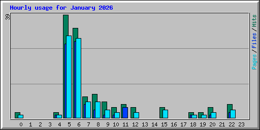Hourly usage for January 2026